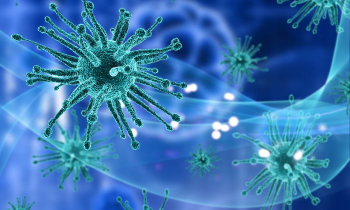 İçişleri Bakanlığı’nın Korona Virüs Salgınını Önlemeye Yönelik Kararı