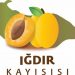 Iğdır Kayısısı Katma Değer
