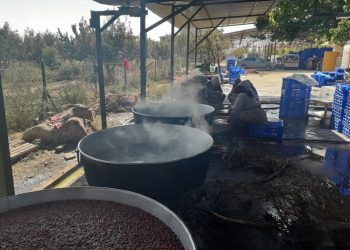 IĞDIR’da, 45 Dönüm Arazide Kurulan Aras Doğa Köyü’nde Sebze ve Meyvelerden Organik Ürünler Elde Ediliyor