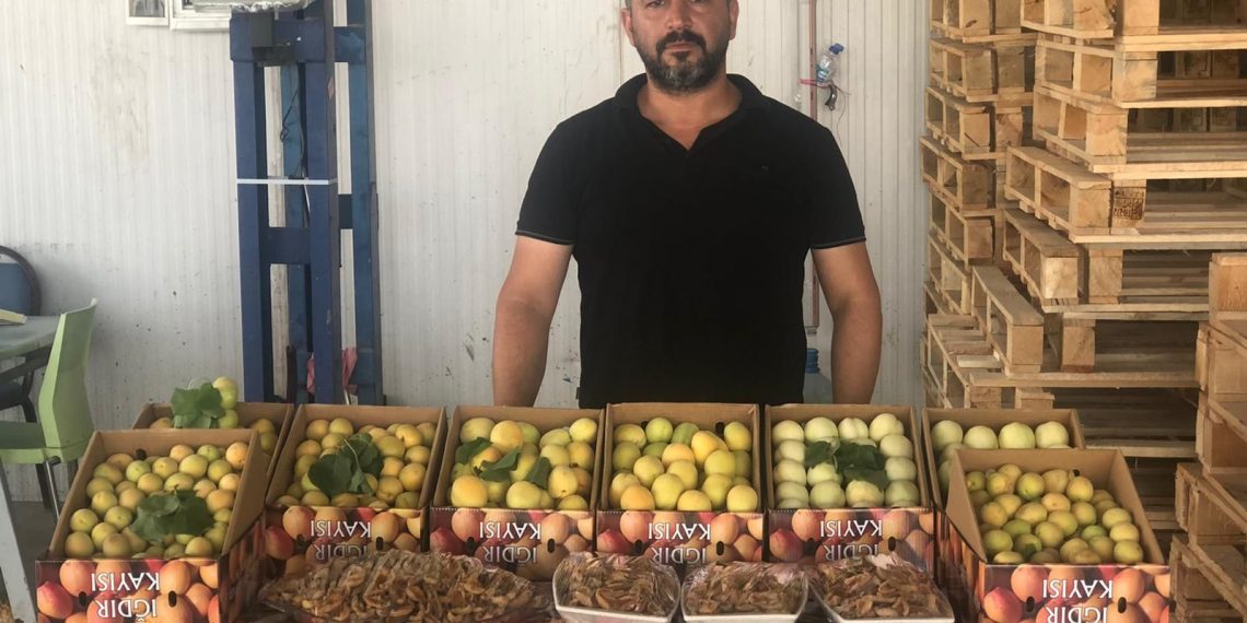 IĞDIR KAYISISI TESCİLLİNDİ