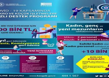 Mikro ve Küçük İşletmelere Hızlı Destek Programı