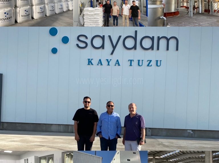 Saydam Kaya Tuzu